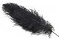 Preview: Ostrich feathers, length 25/40 cm, different colours