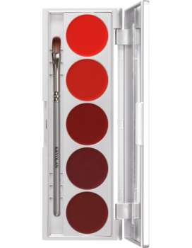 Lip Rouge Set 5 Farben - 10 g - D