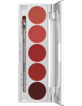 Lip Rouge Set 5 Farben - 10 g - LRS101
